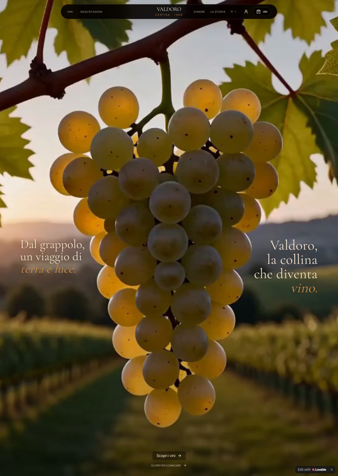 Anteprima reale del sito di Cantina Valdoro